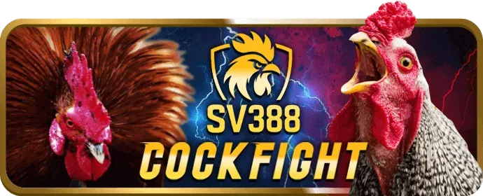 Các sản phẩm và dịch vụ của E88 Ball